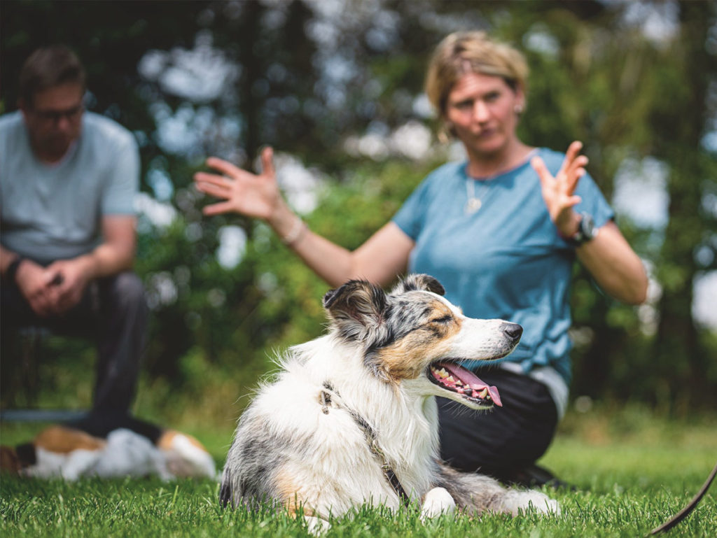 Tanjas Arbeit mit dem Hund